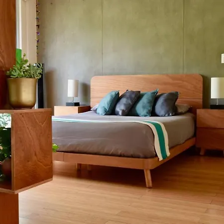Beautiful Loft In Trendy Roma-Condesa Elevator Apartment