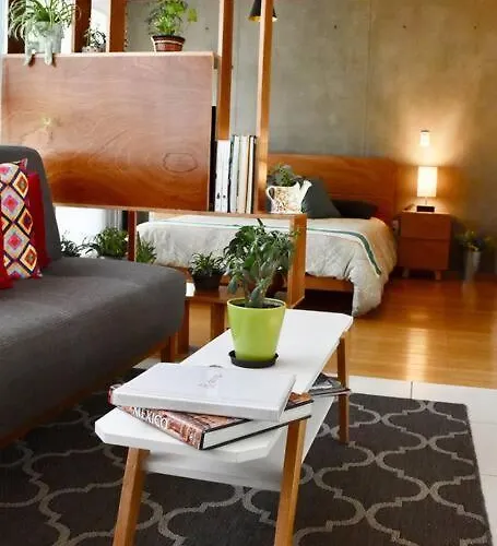 Beautiful Loft In Trendy Roma-condesa Elevator Apartamento México DF
