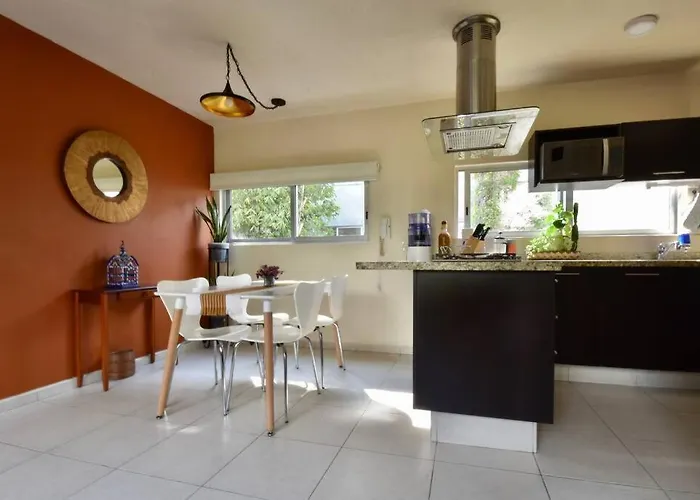 Apartamento Beautiful Loft In Trendy Roma-condesa Elevator