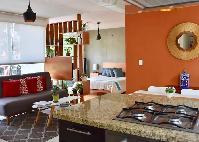 Beautiful Loft In Trendy Roma-condesa Elevator * México DF