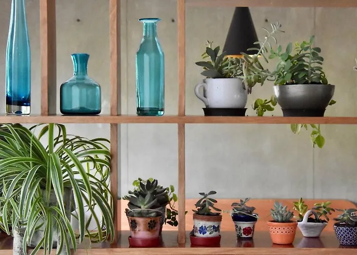 Apartamento Beautiful Loft In Trendy Roma-condesa Elevator *